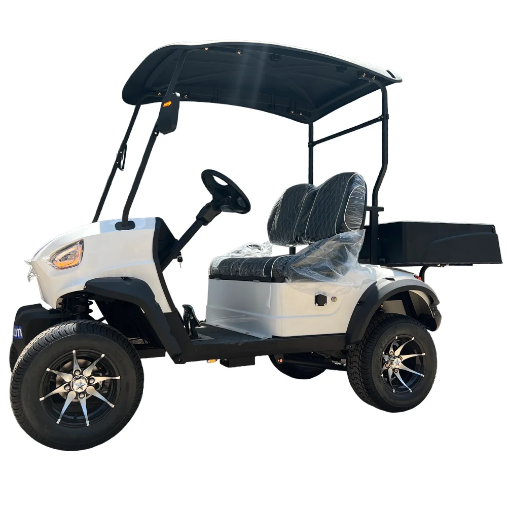 Carrinho de golfe elétrico com caixa de carga traseira, carrinho Buggy, 2 4 Seat, marca MB, CE, OEM, fábrica, novo, 2024