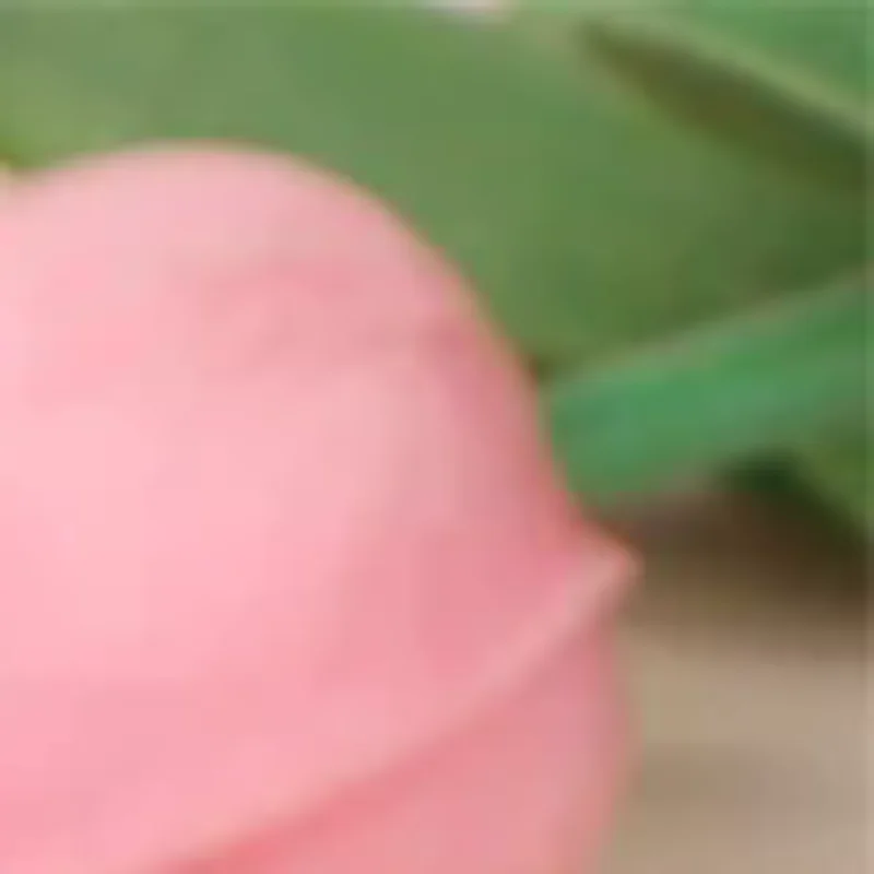 

Vacuum Silicone Facial Beauty Cup Household Cupping Cup Face Lifting Cupping Ball Irrigation Beauty Cupping Cup