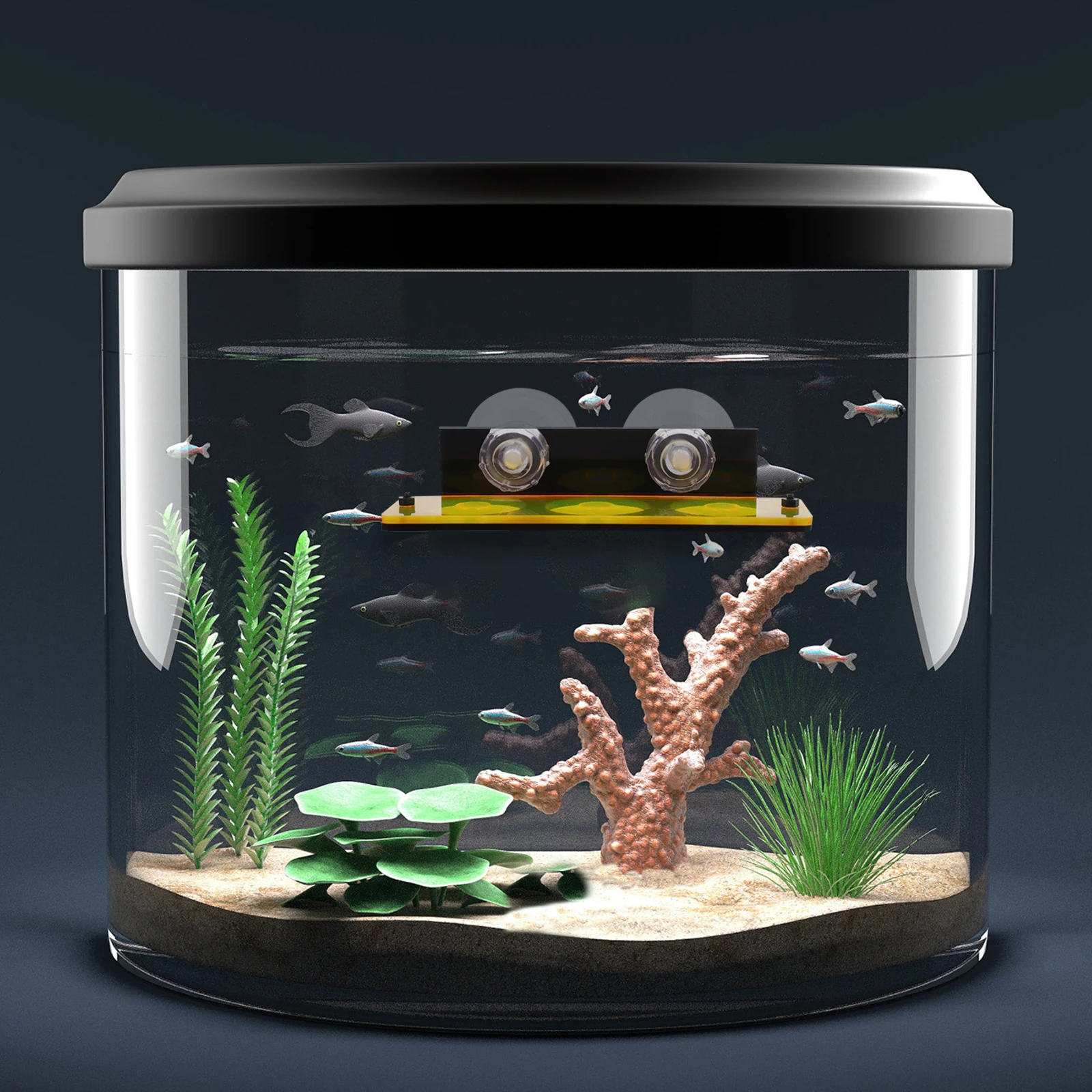 

Acrylic Rack Fluorescent Coral Holder Fish Tank Supply Tank Reef Rack Suction Cup Durable Coral Display