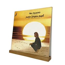 Moda de madeira lp vinil registro armazenamento quadro montagem na parede rack suporte exibição madeira para lp vinil registro ep exibição armazenamento venda quente