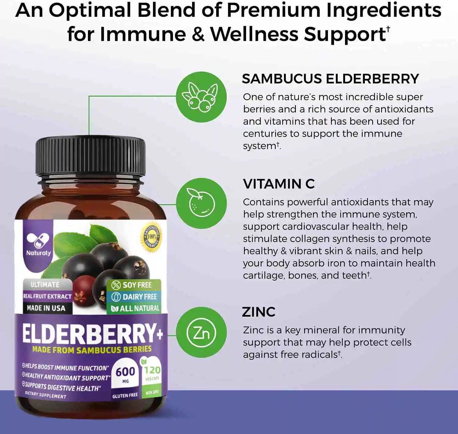 Premium Black Elderberry Capsules for Adults [Max Strength] Pure and Potent Elderberry from Sambucus Nigra to Support Immunity