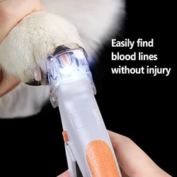 Coupe-ongles professionnel pour animaux de compagnie avec lumière LED, ciseaux pour chat et chien, outil coupe-ongles, coupe-griffe, fournitures pour animaux de compagnie