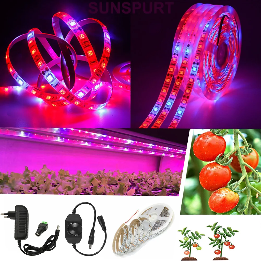 

1-20M SMD5050 LED Strip Grow light 60LEDS/M Full Spectrum Flower Plant Phyto Growth lamp For Greenhouse Hydroponic Plant Growing