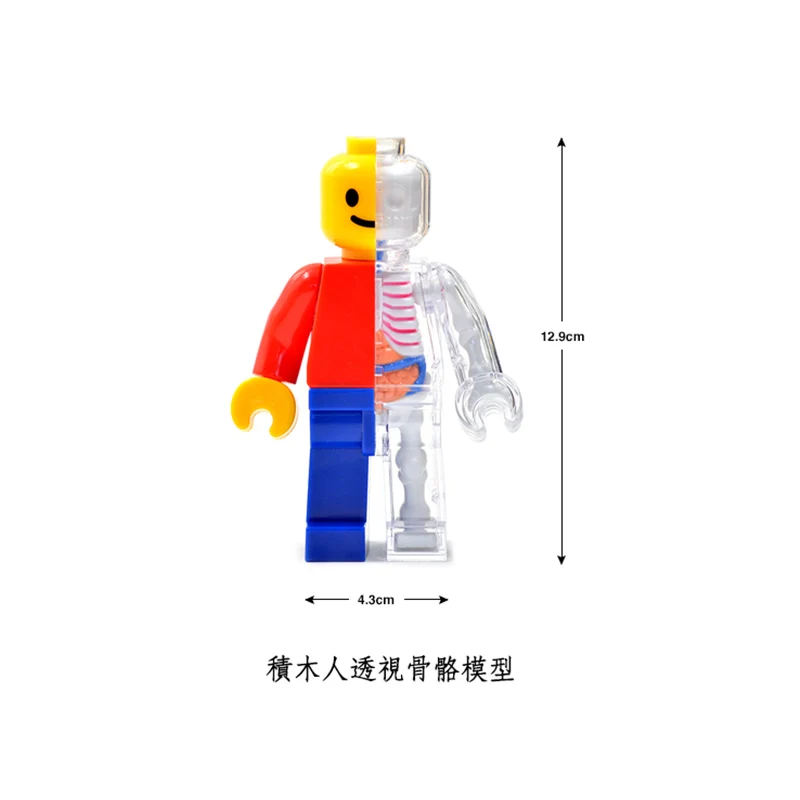 Classic Brick Man 4D Master Puzzle Assembling Toy Perspective Bone Anatomy Model Toys For Children