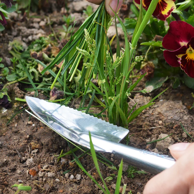 WYJ spade mini shovel harrow set balcony gardening tools for growing vegetables, flowers and meat.