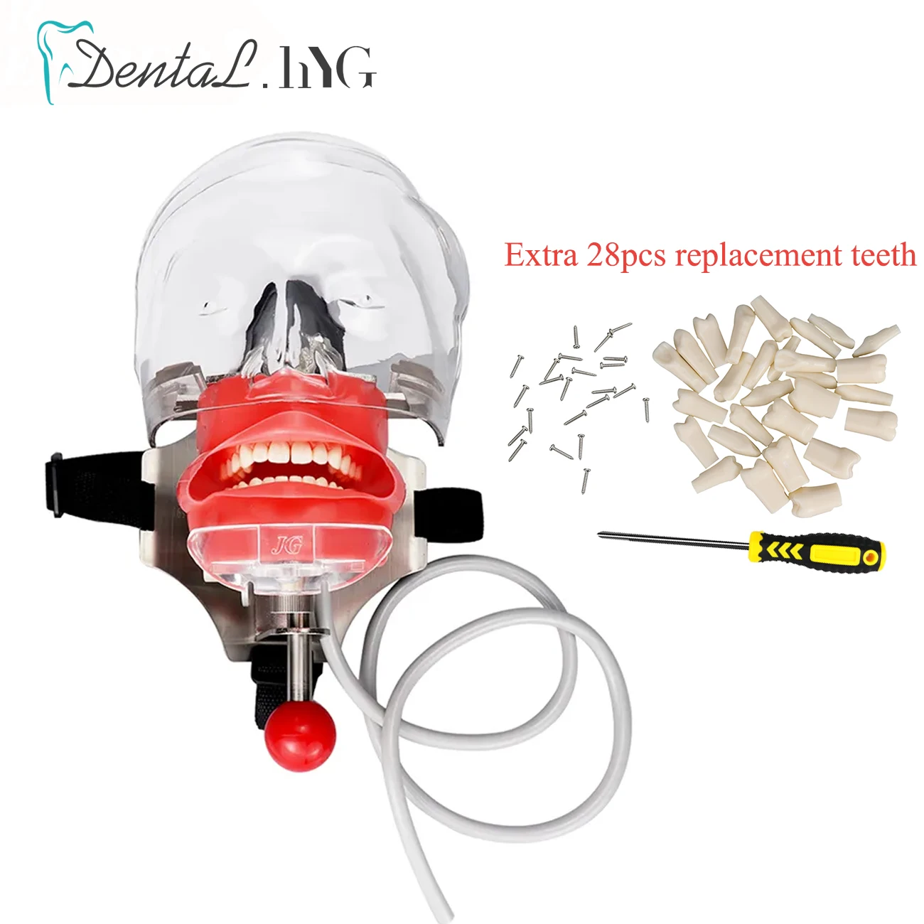 Prosta głowa Model Dental Simulator Phantom Head dla dentysty edukacja dentysta nauczanie/głowa Model Phantom do treningu Apparatu