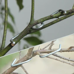 10Pcs 8/10/13/18cm M Type Fruit Tree Branches Holder Plant Support Metal Puller Tying Machine Finalizer Gardening Planters Tool