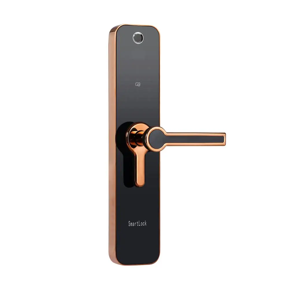 

Remote Magnetic Portable Key Nfc Blue Tooth Rfid Safe Intelligent Top Wifi Code Finger Print Electronic Smart Door Lock