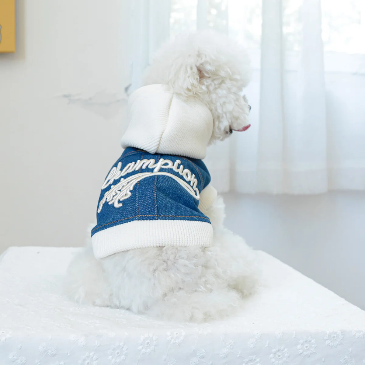 1PC Pet Clothing Spring and Autumn Handsome Champion Cowboy Hat Coat Suitable for Small and Medium sized Dogs