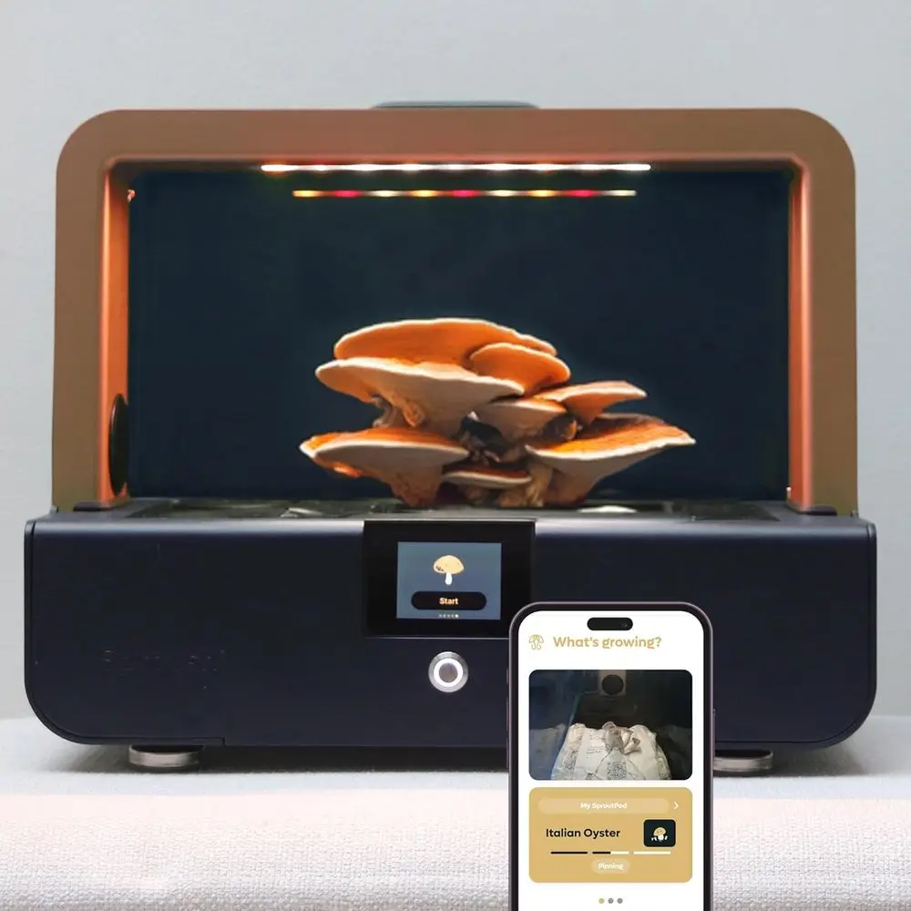 

Набор для выращивания грибов Sproushi Smart – Урожай в течение нескольких дней | Выращивайте грибы львиную гриву, рейши и редкие грибы, которые нигде больше негде купить. | ИИ-ПО