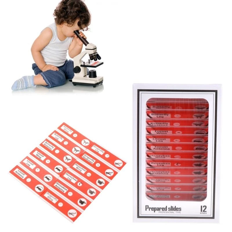 

652F 48pcs/set Kids Plastic Prepared Biological Animals Microscope Slides Plants Flowers Sample Accessories