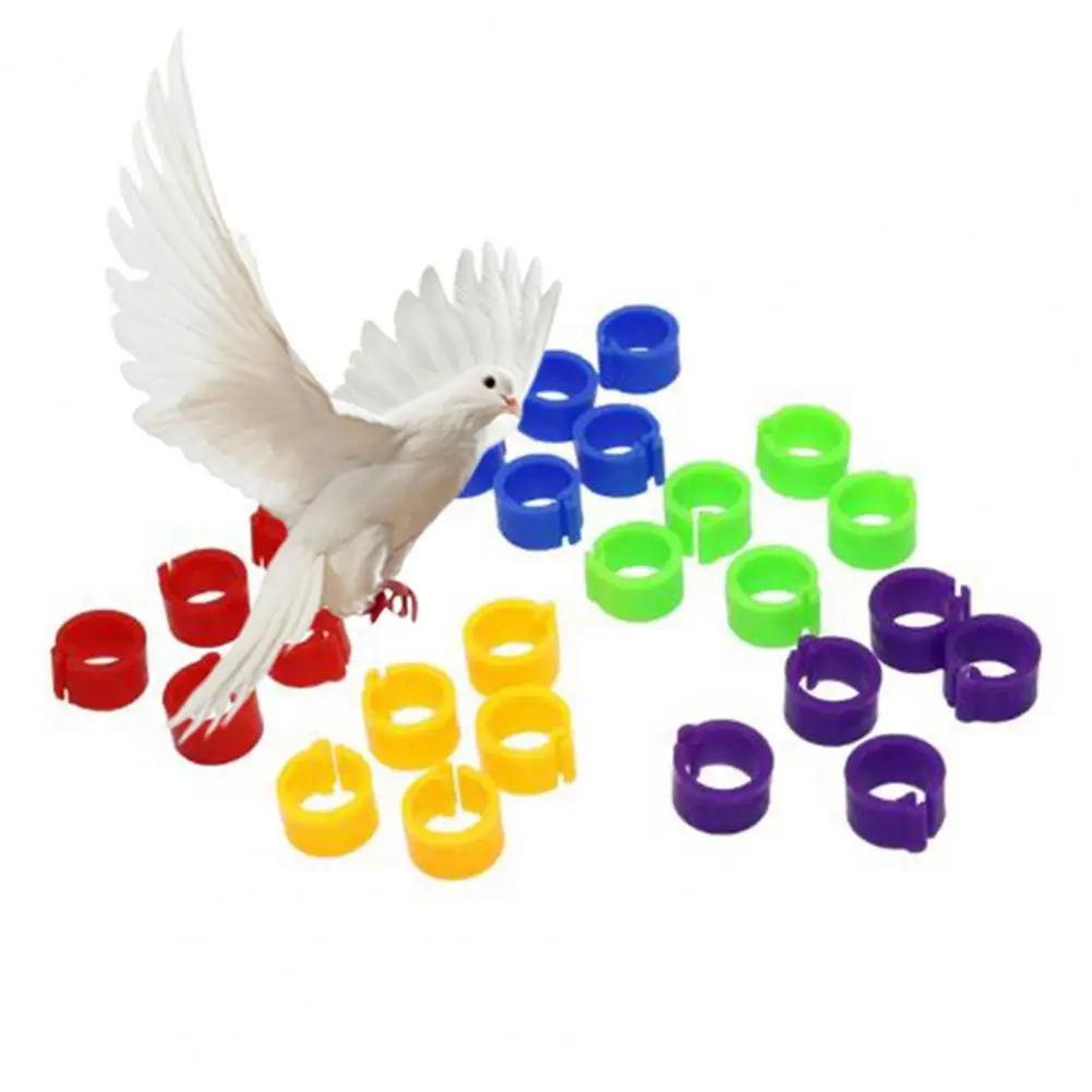 100Pcs Birds Leg Clips Harmless Extensible Plastic Mix Color 8mm Pigeon Small Parrot Leg Rings Pet Pigeon Training Supplies