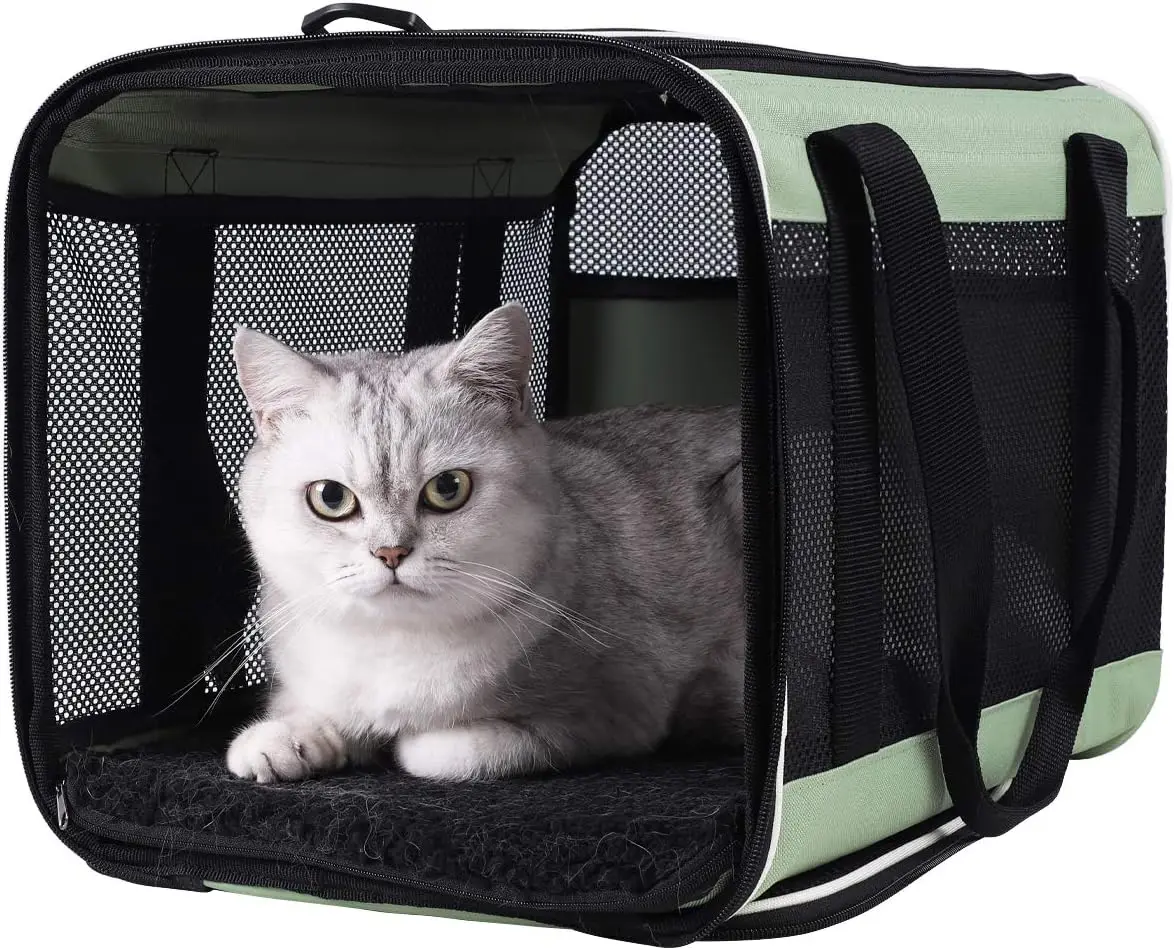 

petisfam Load Pet Carrier Large 2 Cats and Small Dogs with Comfy Bed. Easy to Get Cat in, Escape Proof, Easy Storage, Washable