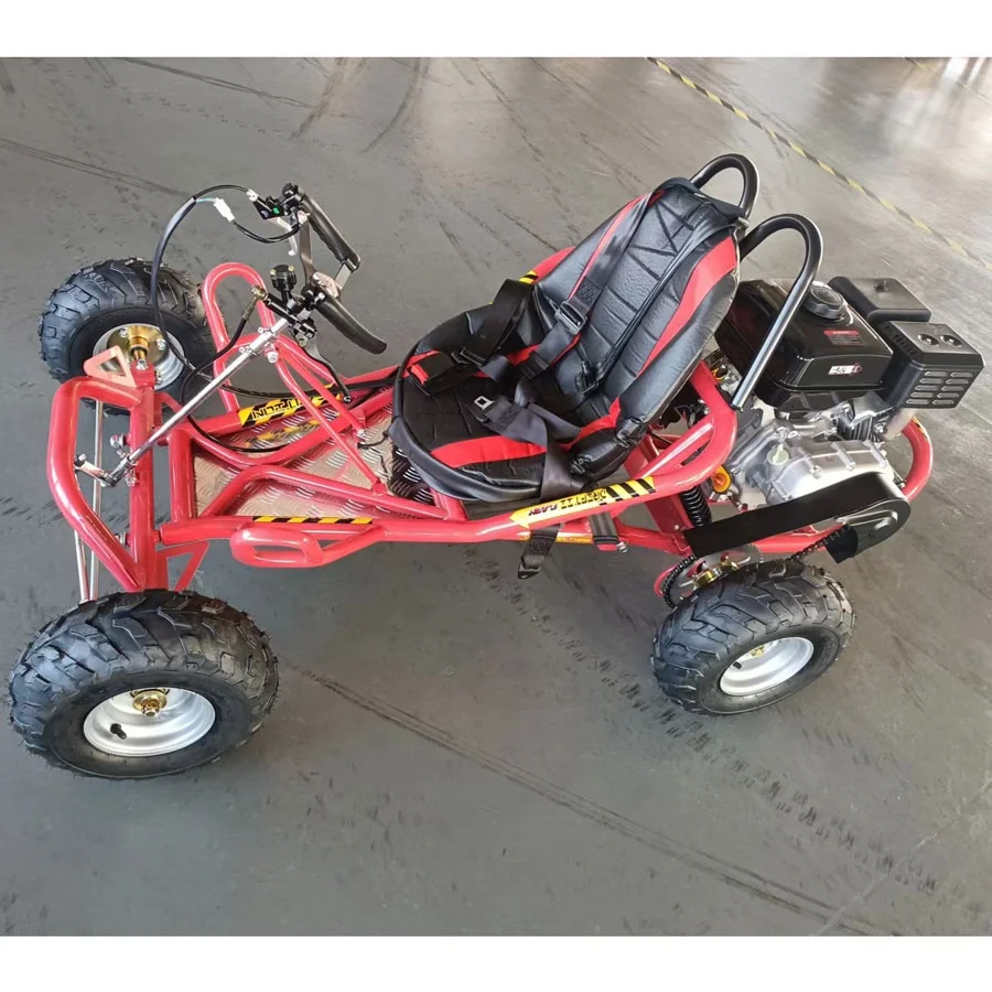 

Favorable Price Outdoor Entertainment Karts 196cc 45km/h Youngsters Mini Drifting Grassland Karting Buggy
