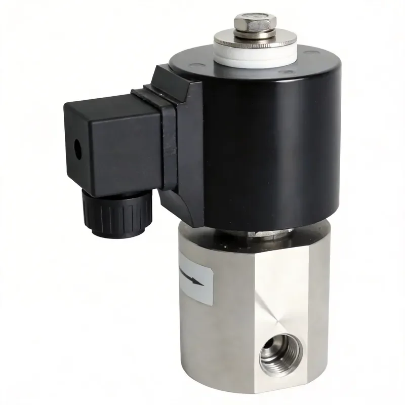 Thread 1.5mm Orifice High Pressure 100/200/250Bar 24v Pilot Water Solenoid Valve High Temperature