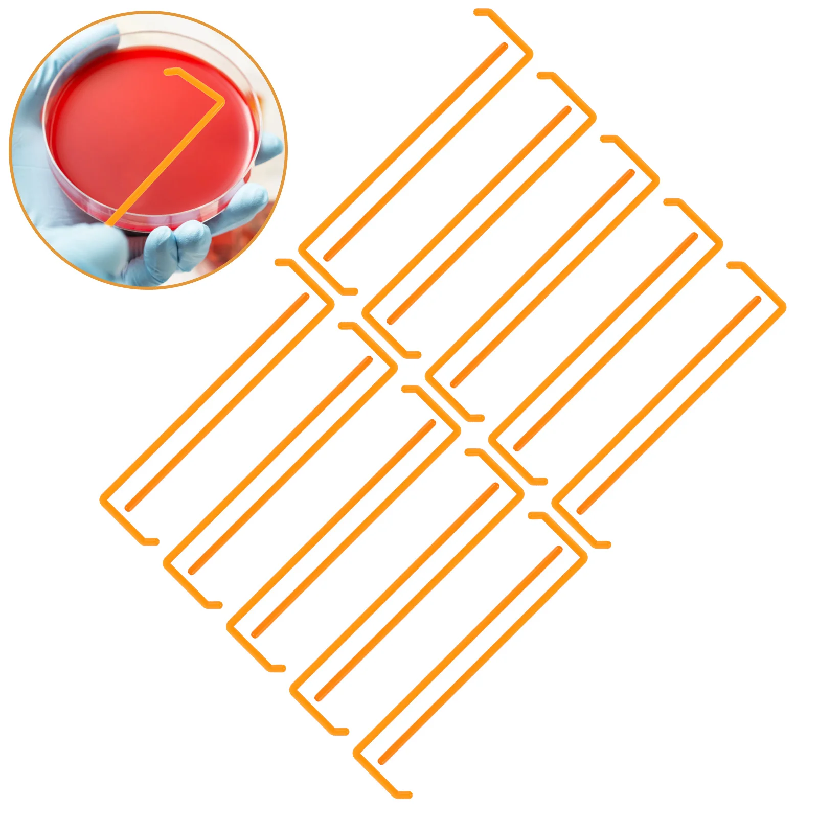 

20Pcs Laboratory Cell ABS Plastic Durable Smooth Surface L-Shaped Spreading for Science Experiment