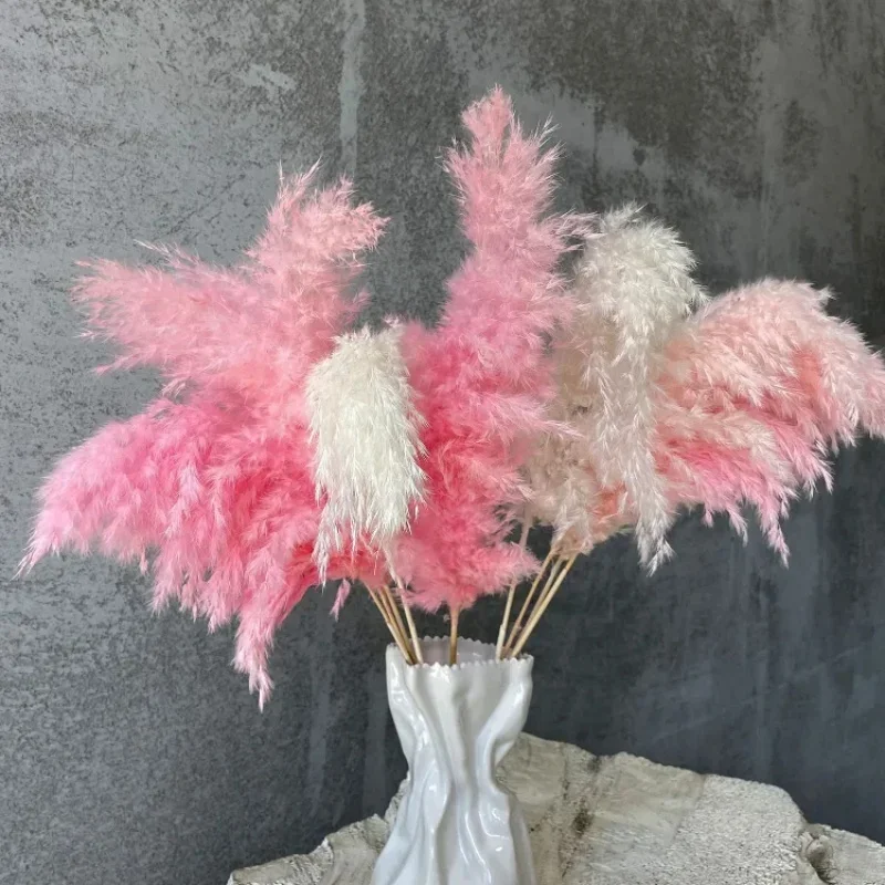 10 Pz Colore Della Miscela Rosa Bianco Soffici Erba di Pampa Boho Home Decor Naturale Pianta Reale Fiori Secchi con Steli Centrotavola di Nozze