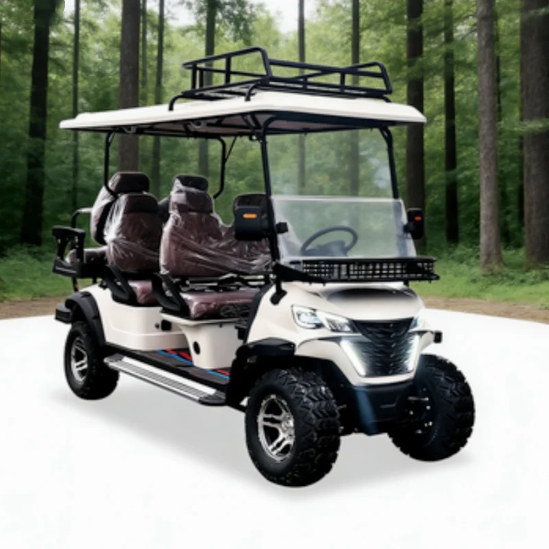 

Factory Low Price Popular Modern Custom Electric Golf Cart Club Car Multi-Color Light Flashing Top Basket Seats With Headrest