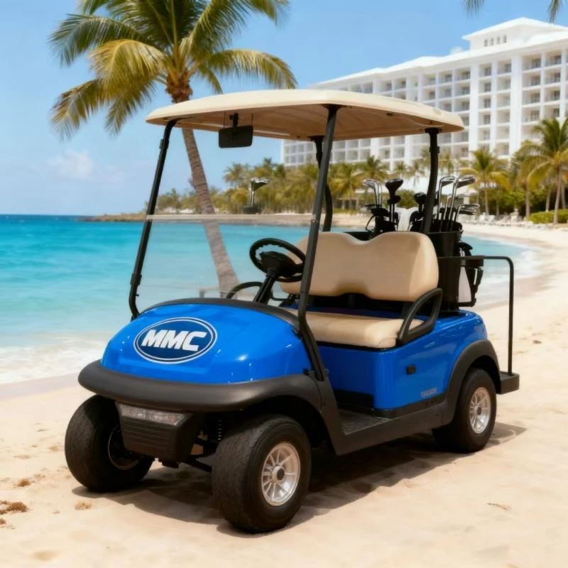 عربات جولف كهربائية معتمدة بمقعدين 2/4/6/8 ذات دفع رباعي مع محرك واحد بقدرة 5000 وات؛ جودة مضمونة.
