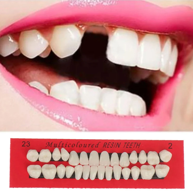 28 Teeth Resin Denture Teeth Comparator Mirror Dentistry Bleaching Dental Plate Research On Dental Education Model