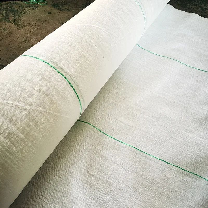 

【From China】Drainage Geotextile White PP Water Permeable Geotextile Filter Cloth