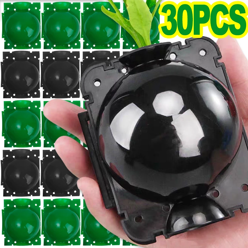 

30/5x Plant Root Growing Box Root High-pressure Propagation Ball Set for Fast Propagation Grafting Tools for Plant Cuttings
