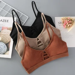 Nuove donne cotone reggiseno sportivo tubo Top Crop femminile senza soluzione di continuità biancheria intima tubo reggiseno senza fili Bralette Sexy Lingerie ritagliata a fascia