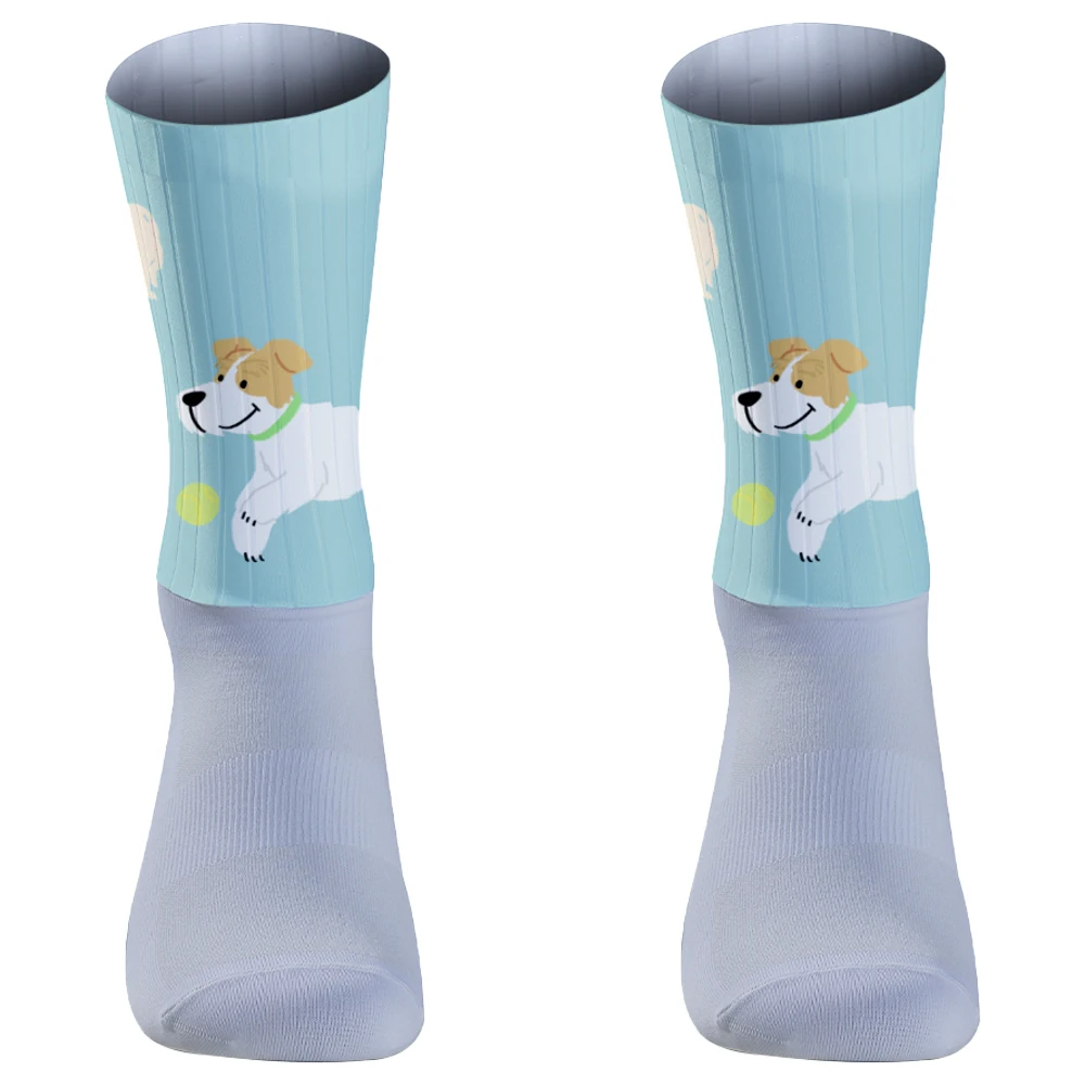 

New Fashion Socks Autumn Winter Colorful Cartoon Chinese Ancient Dinosaur Creative Socks High Quality Selling Funny Sock