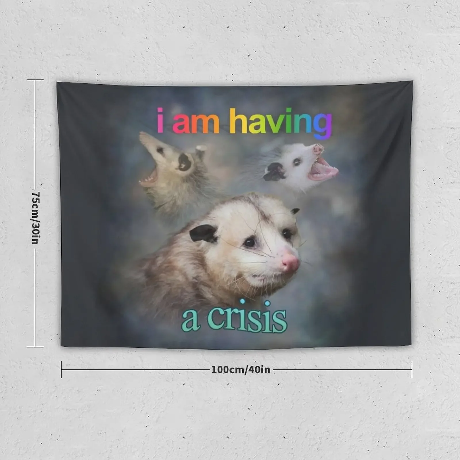 I am having a crisis possum word art Tapestry Decorative Wall Wall Hanging Wall Coverings Tapestry