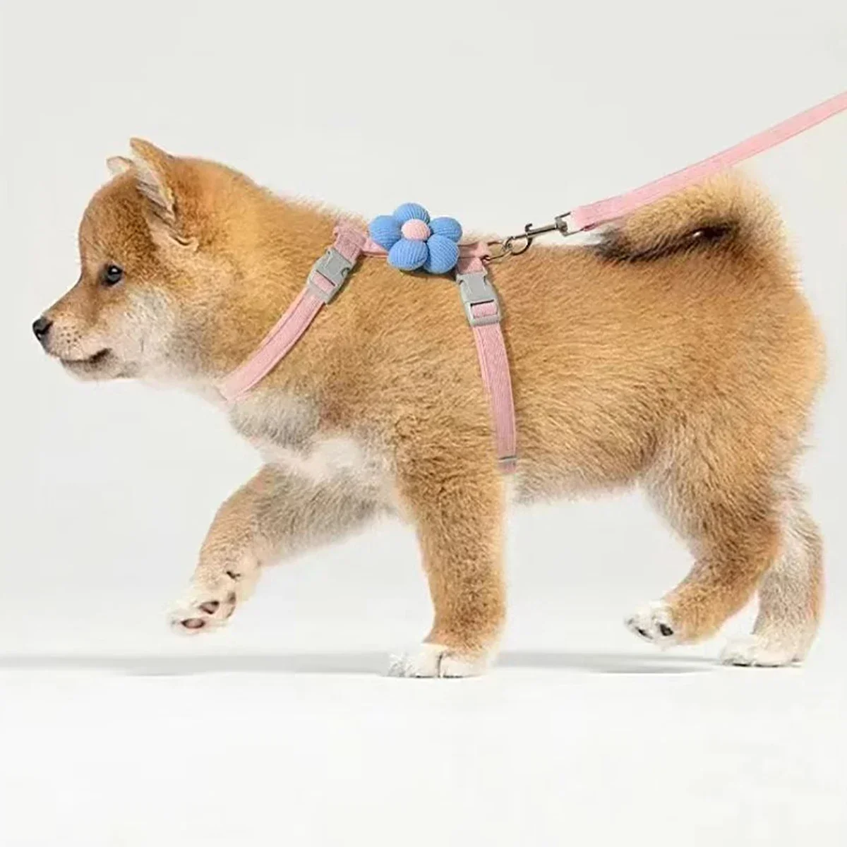 Adjustable Cat Harness And Leash Set For Small Dogs And Cats_voghion.com