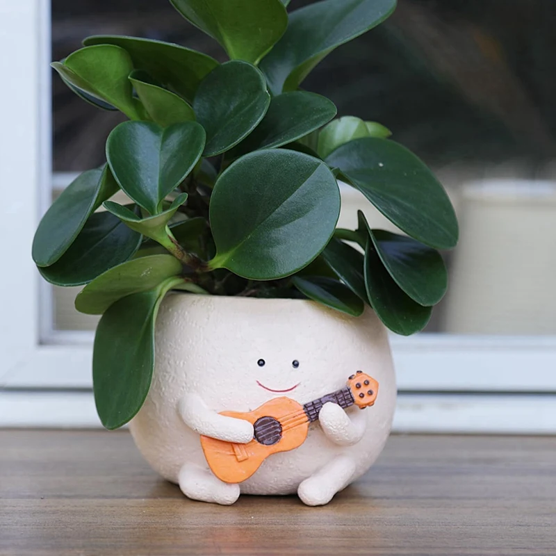 Smily Face Planter Pot With Drainage Hole Cute Resin For String Of Plant Unique Guitar Succulent Pots For Indoor