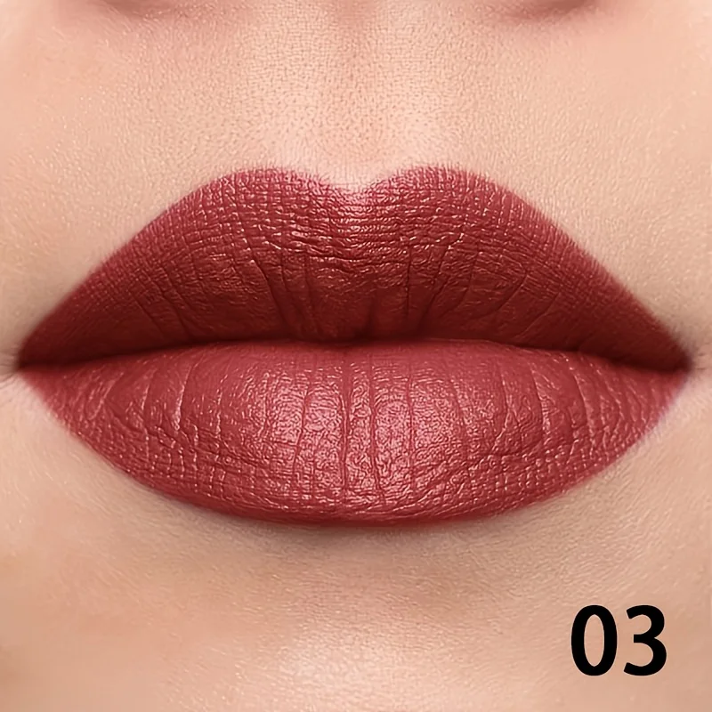 Penna per labbra liscia opaca, impermeabile, resistente al sudore e che non sbiadisce, blocco colore a lunga durata, creazione di un trucco labbra completo