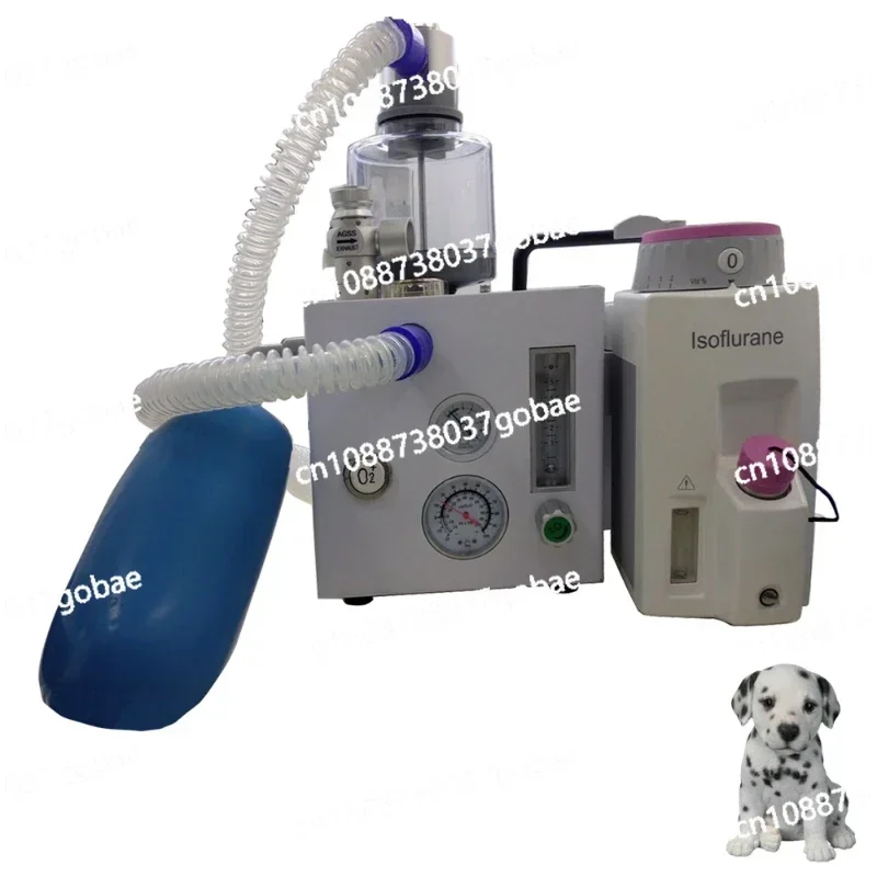 Veterinary Anesthesia Oxygen Flow Rate Pet Inhalation Anesthesia Machine