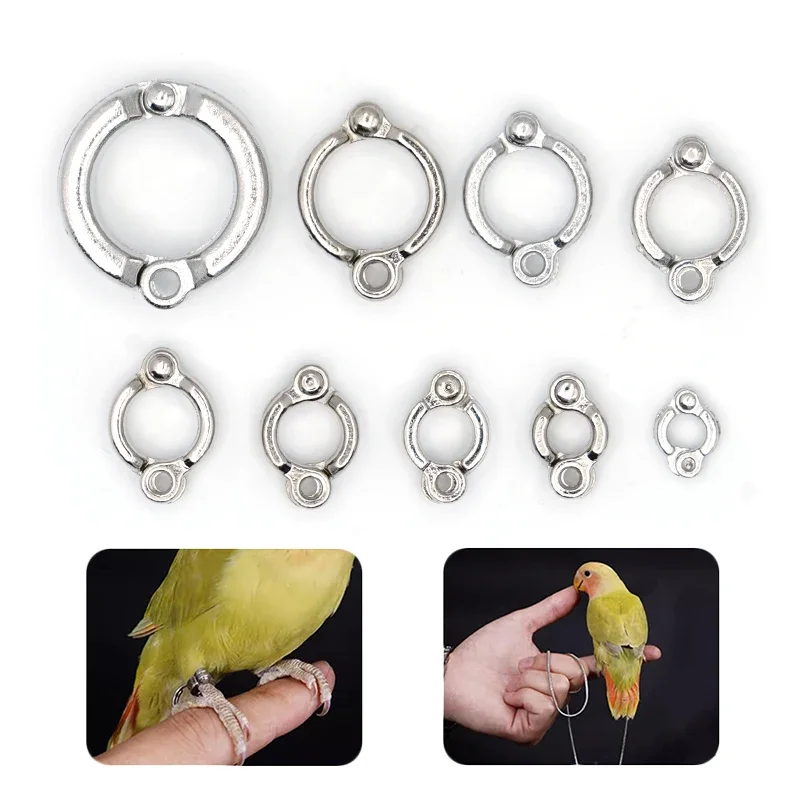 Parrot Foot Rings Metal Pet Bird Leg Rings Outdoor Fly Training Activity Anti-Lost Opening Clip Leash Accessories 4-15mm