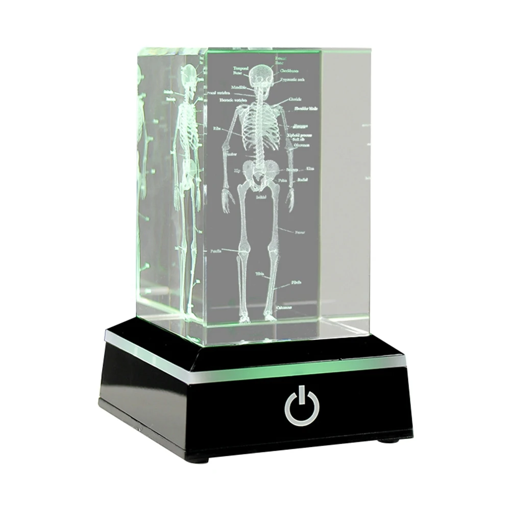 3D Laser Engraved Human Skeletal Crystal Cube Figurines, Medical Science Gifts, Organ Anatomical Model Paperweight A