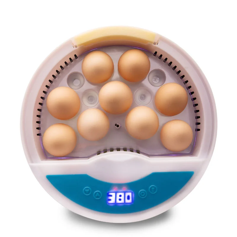 

Mini Eggs Incubator Brooder Bird Quail Chick Hatchery Hatcher Farm Tray Automatic Poultry New Tools Incubation Incubator