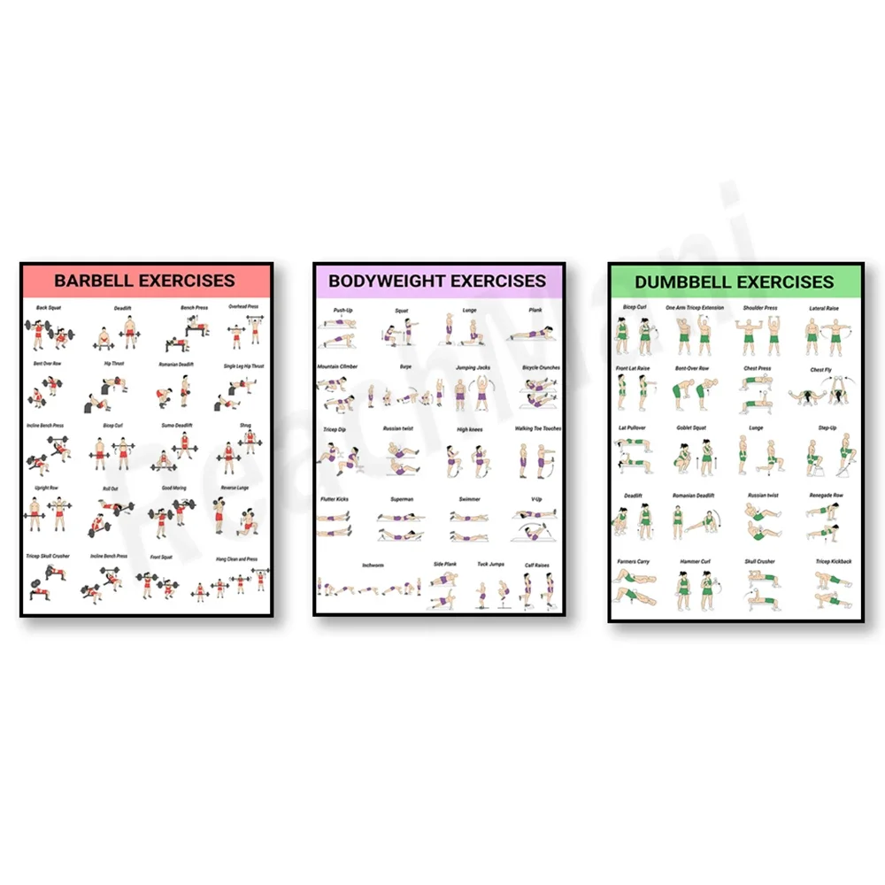 Weight training infographic, weight training, barbell print, dumbbell training, barbell training chart, gym decoration poster