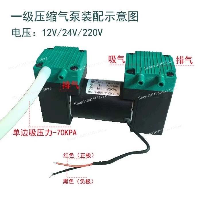 Small DC Vacuum Pump 12V24V220V Negative Pressure Pump Pumping Dual-purpose Double-head Miniature Diaphragm Air Pump