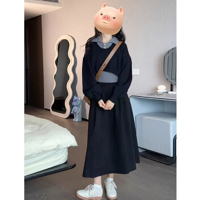 

French Dress Autumn Dress 2024 New Fake Two-piece Top Half-length Skirt Two-piece Set Commuting Dress Women