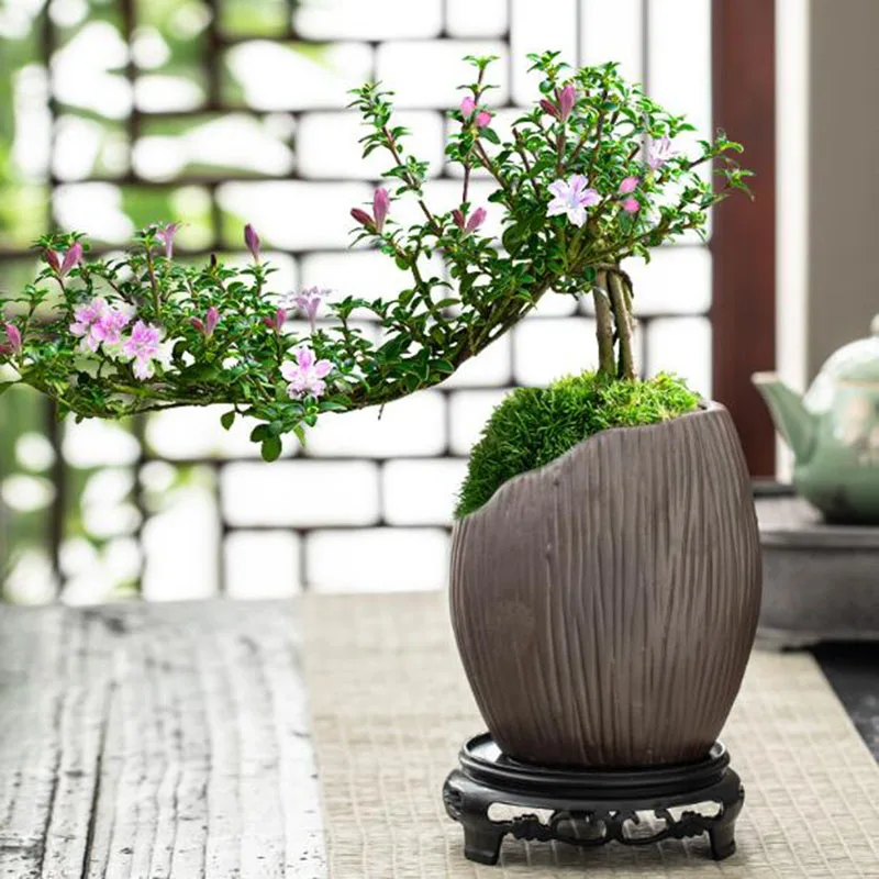 Chinese Style Ceramic Bonsai Vase Office Living Room Green Plant Pot Flowerpot Container Gardening Planter Home Decor