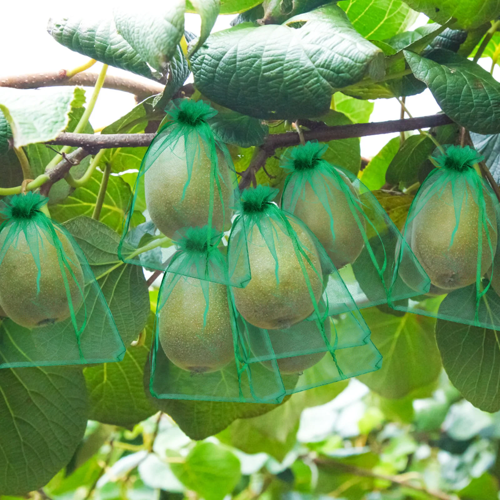 

50 pcs Fruit Protection Bags 15x20CM 20x30CM Grass Green Sturdy Drawstring Insect Net Bag Mesh Bags For Fruits Vegetables Small