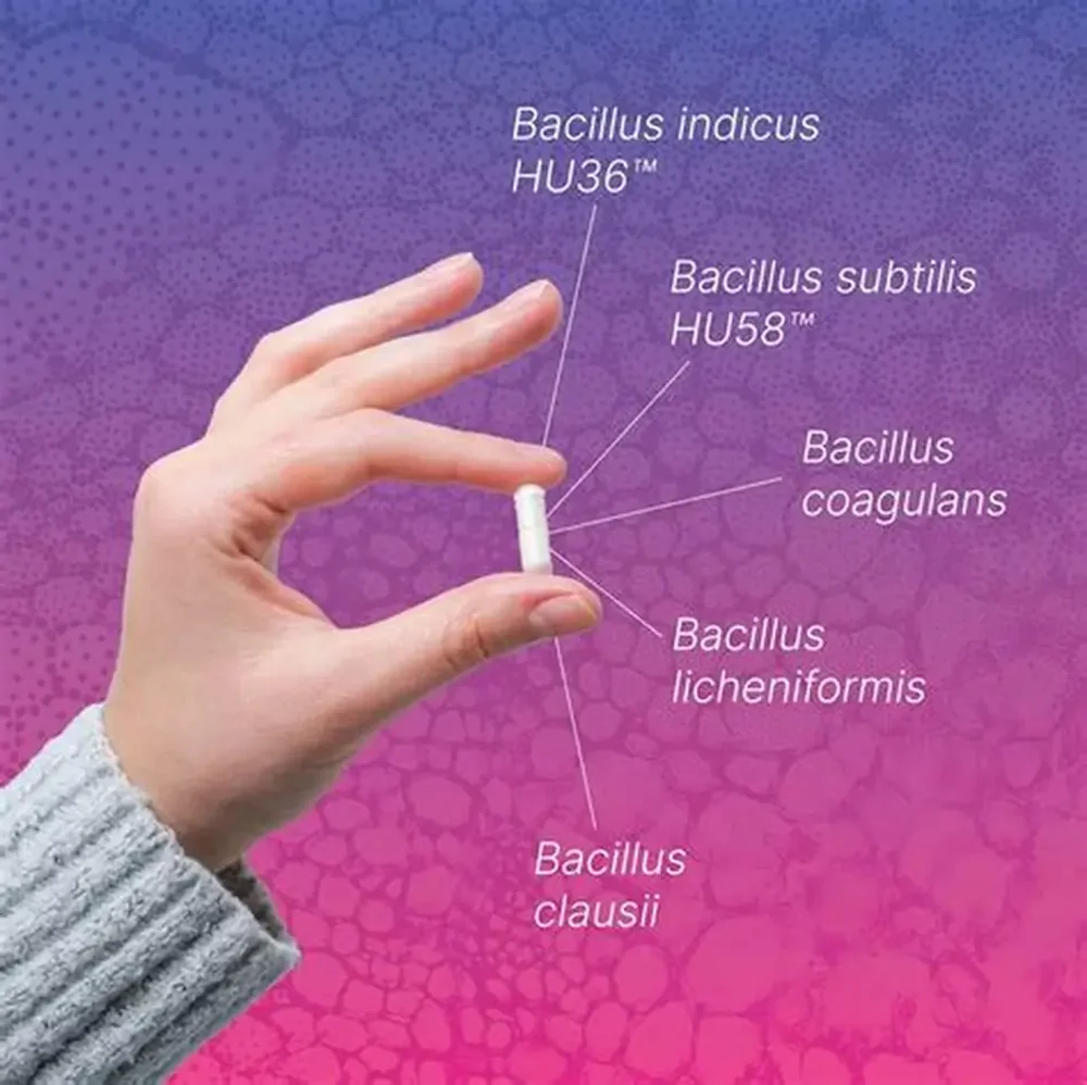 lmmune Support, Bloating & Constipation Relief - 60 Capsule