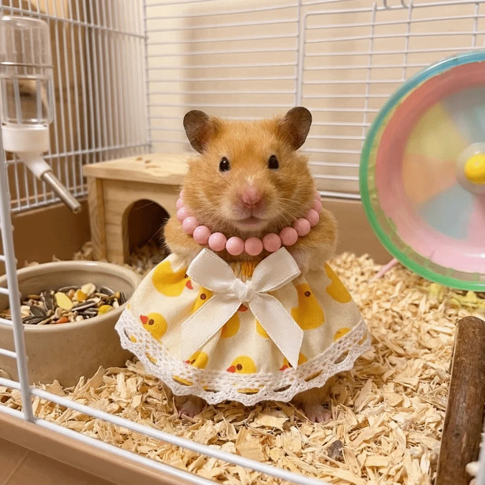 Falda de encaje transpirable para hámster, vestido de princesa ligero y suave, encaje tejido con collar, disfraz para conejillo de indias, para interior y exterior