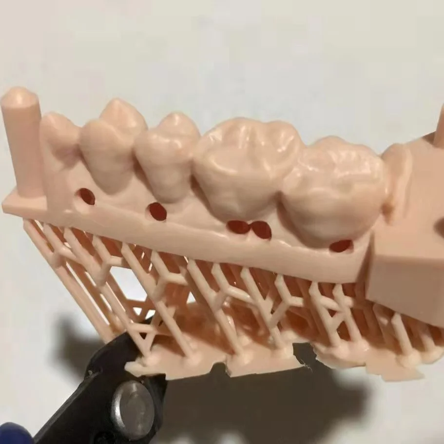 1KG Meat Tan Grey Lab Model UV Resin CE Certified, Compatible with DLP LCD 3D Printers for Precision Modeling