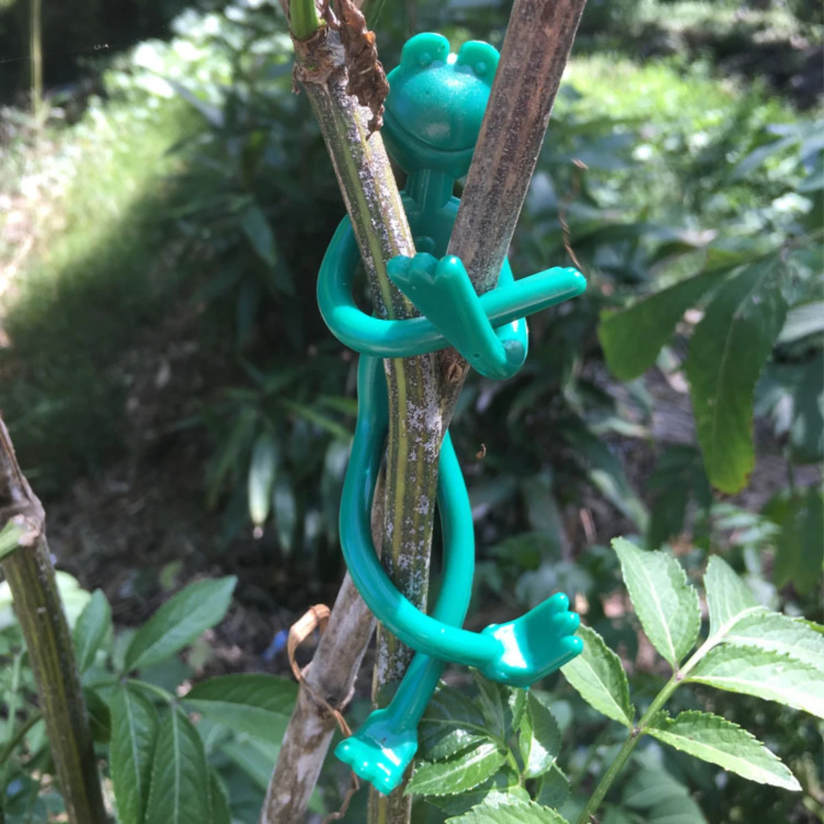 Horticultural assistance cartoon zip ties frog lizard tree branch organization zip ties vegetation decoration