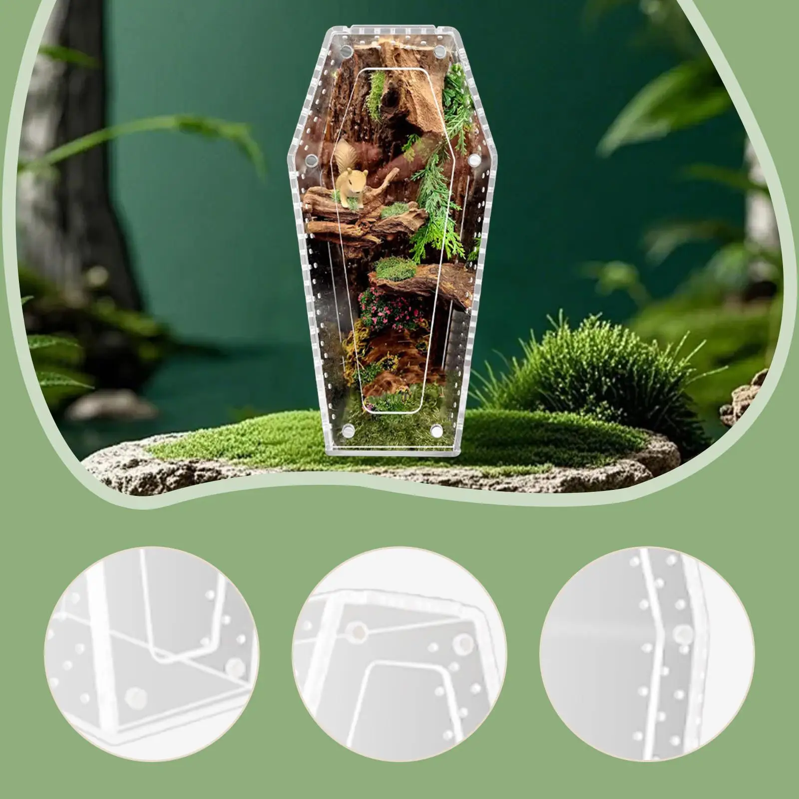 Custodia per ragno in acrilico per animali terrestri o arboreali, trasparente, ventilata, per rettili, terrario, tarantola, gabbia per ragni
