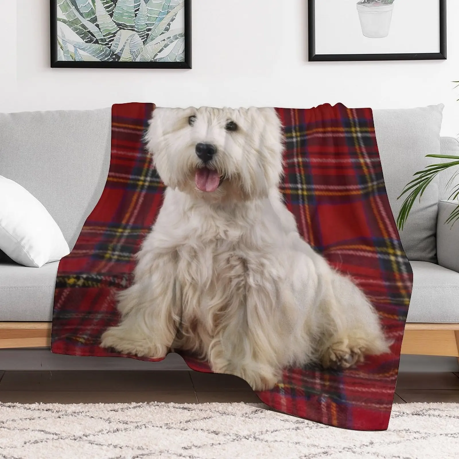 

West Highland White Terrier on a Scotch Plaid Throw Blanket Furrys Luxury Thicken Blankets