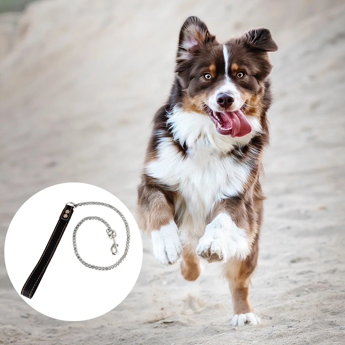 

1Pcs Stainless Steel Dog Traction Rope Chain Durable Pet Leash Comfortable Handheld Control Cable for Small Medium Dogs