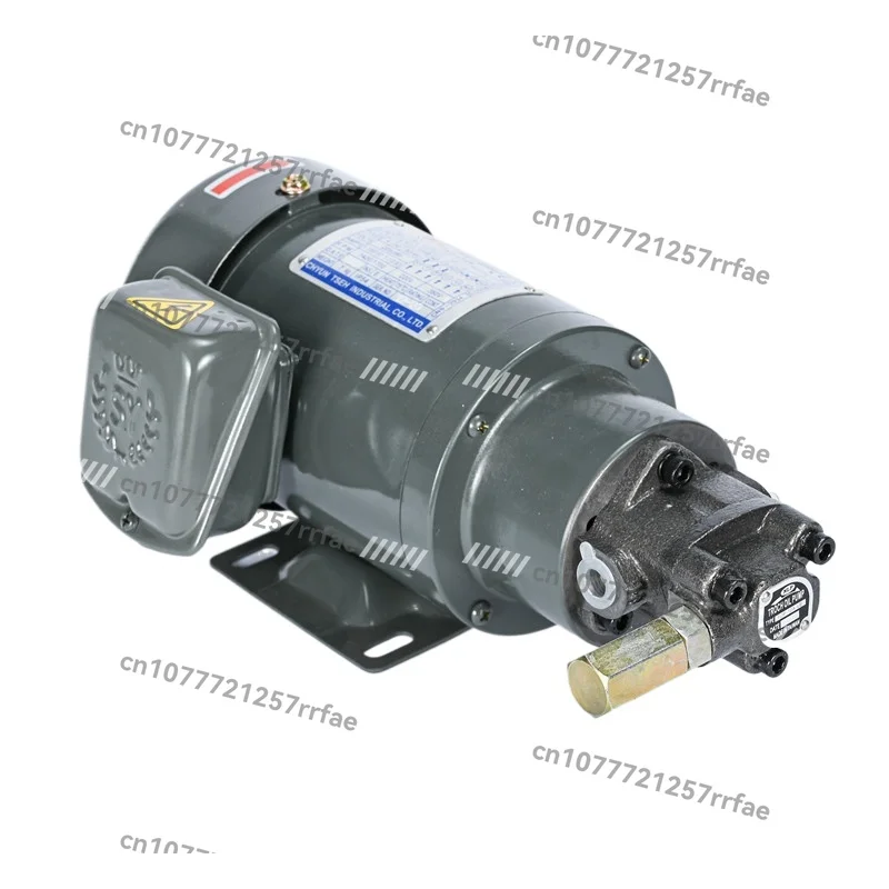 

Machine Tool Numerical Control Lubricating Oil Pump Screw Machine Lubricating Oil Pump High Speed TOP12A Oil Pump Motor Unit