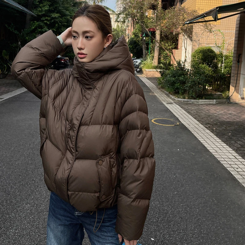 Women\'s Puffer Coats Winter New Outerwears Thickened Warm Loose Hooded Parker Simple Casual Solid Color High Street Down Jackets